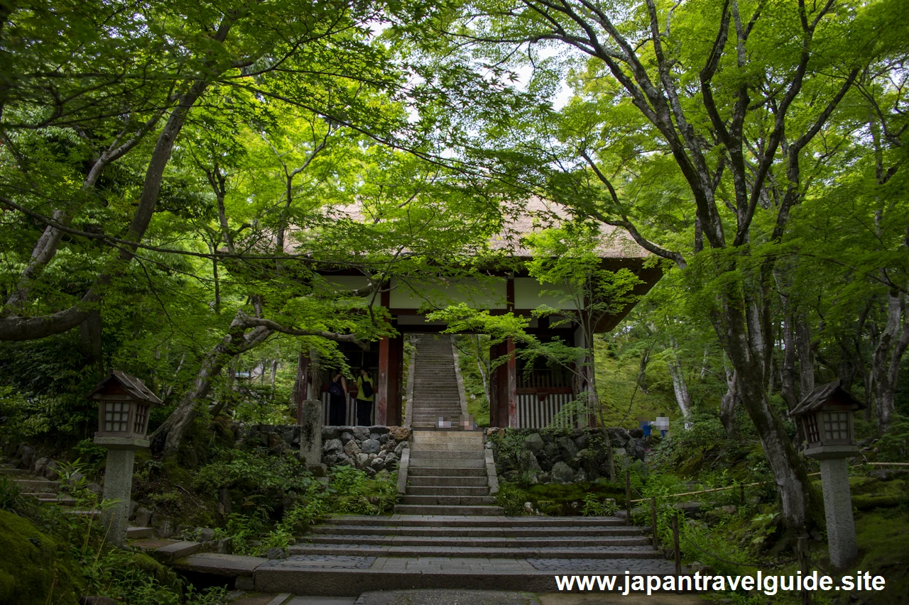 仁王門：常寂光寺の見どころ(2)