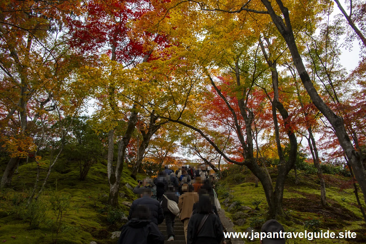 本堂までの石段の紅葉：常寂光寺の紅葉の見どころ(3)