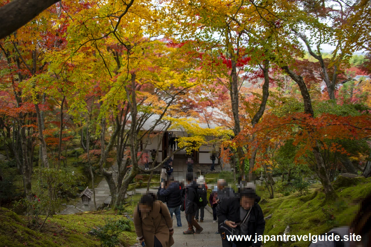 本堂までの石段の紅葉：常寂光寺の紅葉の見どころ(5)