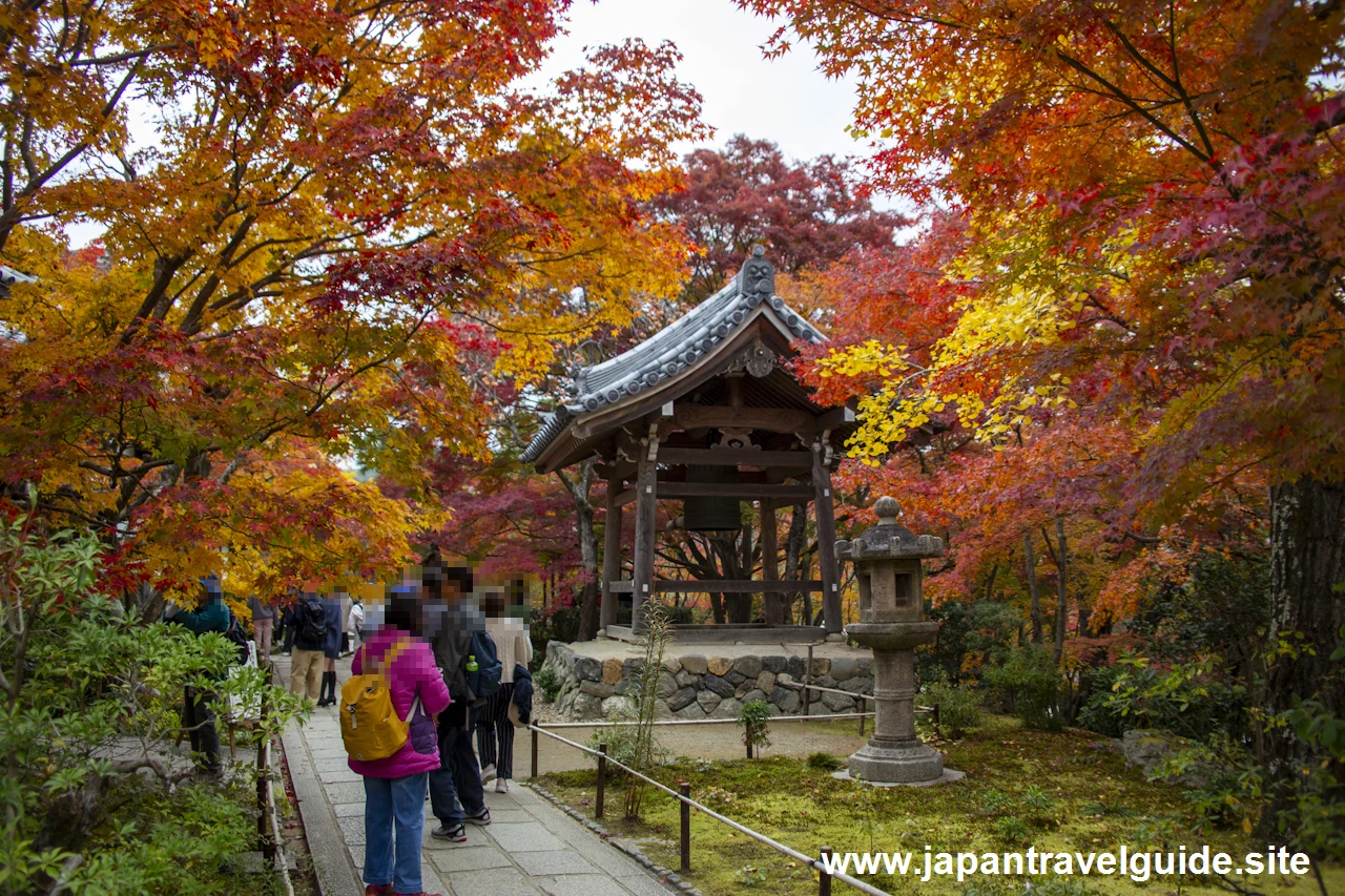 本堂、鐘楼、妙見堂付近の紅葉：常寂光寺の紅葉の見どころ(1)