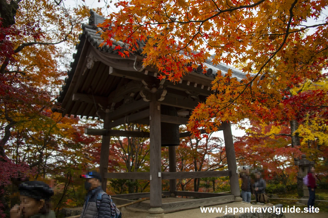 本堂、鐘楼、妙見堂付近の紅葉：常寂光寺の紅葉の見どころ(3)