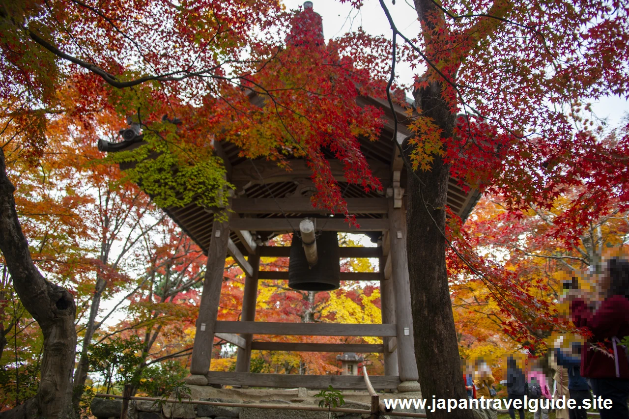 本堂、鐘楼、妙見堂付近の紅葉：常寂光寺の紅葉の見どころ(4)