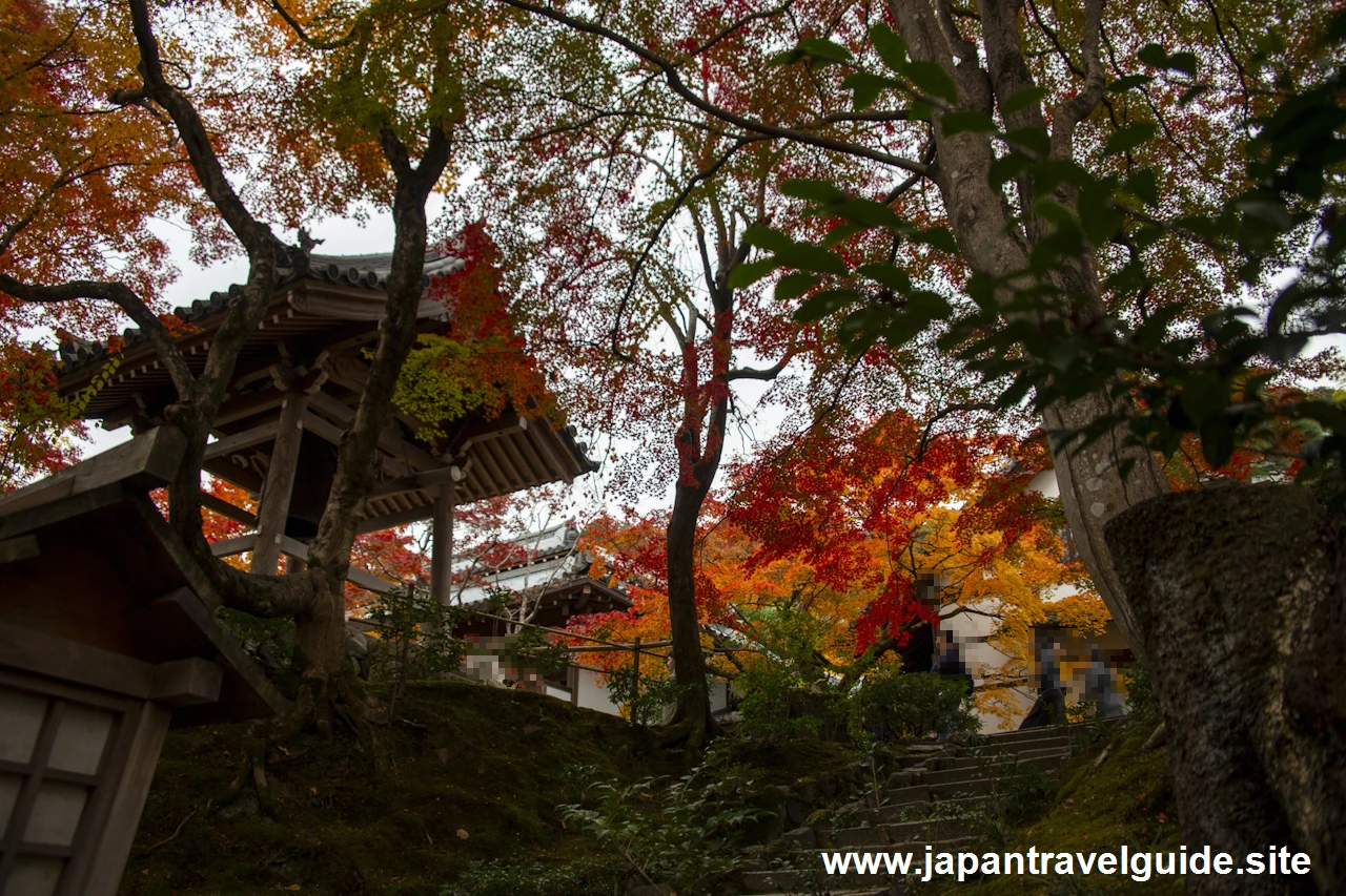 本堂、鐘楼、妙見堂付近の紅葉：常寂光寺の紅葉の見どころ(5)