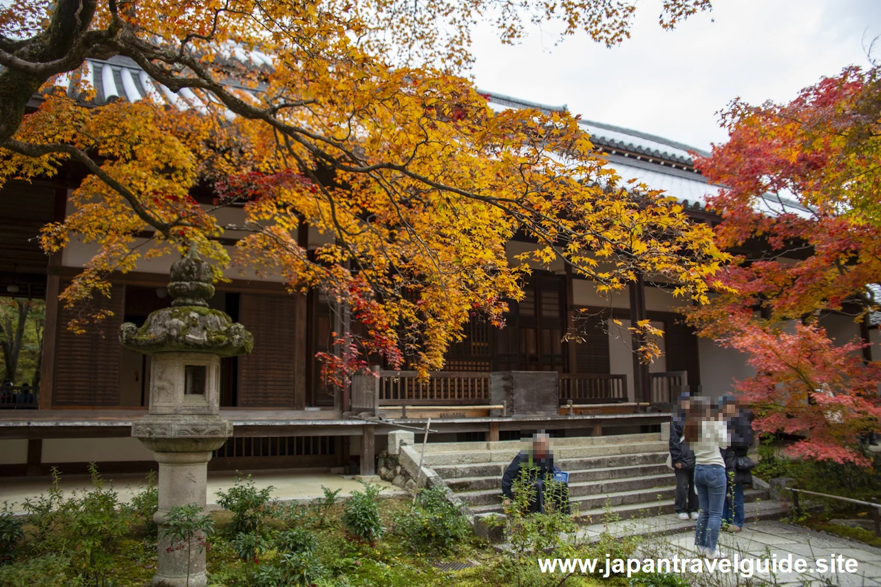 本堂、鐘楼、妙見堂付近の紅葉：常寂光寺の紅葉の見どころ(6)