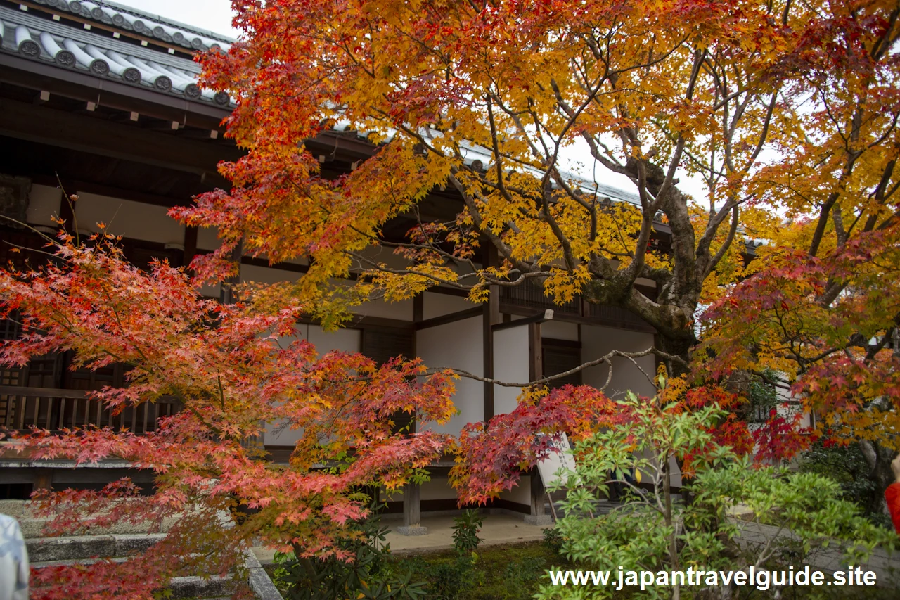 本堂、鐘楼、妙見堂付近の紅葉：常寂光寺の紅葉の見どころ(7)