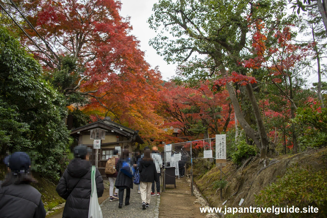 山門から仁王門までの紅葉の様子です。：常寂光寺の紅葉の見どころ(2)