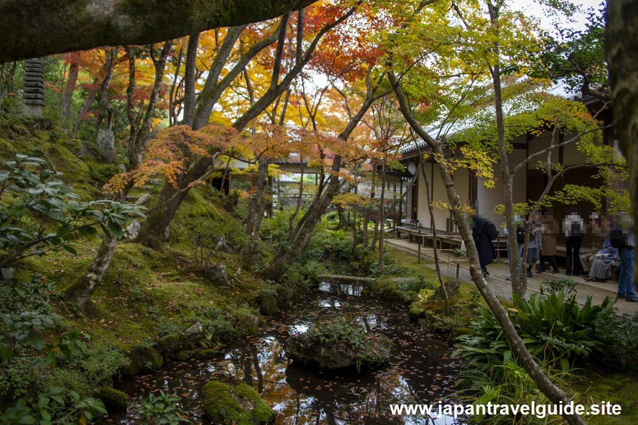 本堂、鐘楼、妙見堂付近の紅葉：常寂光寺の紅葉の見どころ(8)