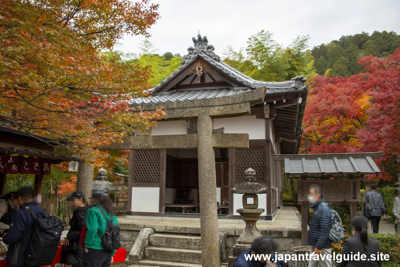 本堂、鐘楼、妙見堂付近の紅葉：常寂光寺の紅葉の見どころ(9)