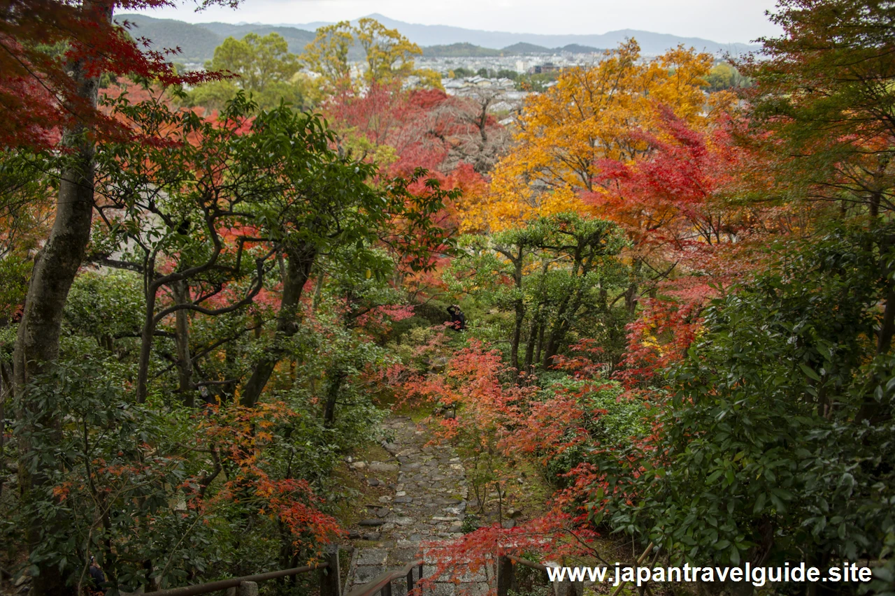 本堂、鐘楼、妙見堂付近の紅葉：常寂光寺の紅葉の見どころ(11)