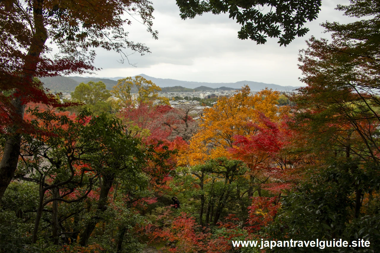 本堂、鐘楼、妙見堂付近の紅葉：常寂光寺の紅葉の見どころ(12)