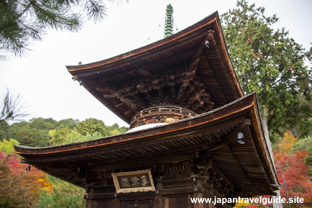 多宝塔の紅葉：常寂光寺の紅葉の見どころ(2)