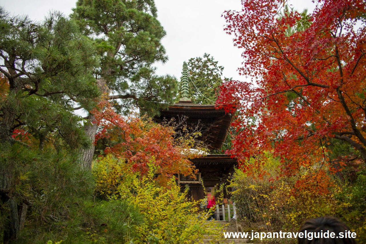 多宝塔の紅葉：常寂光寺の紅葉の見どころ(3)