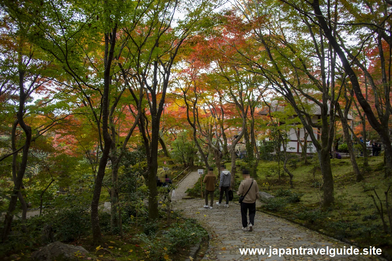 末吉坂の紅葉：常寂光寺の紅葉の見どころ(2)