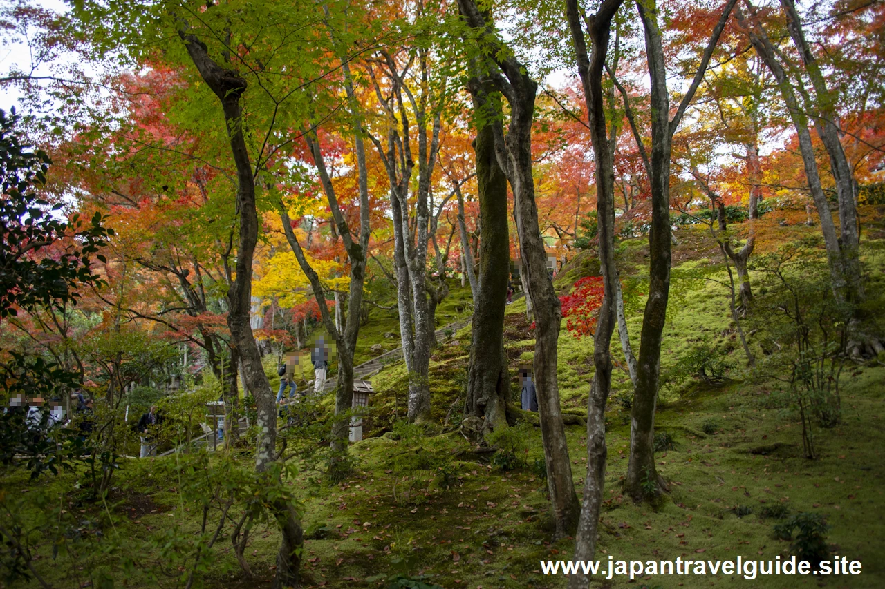 末吉坂の紅葉：常寂光寺の紅葉の見どころ(3)