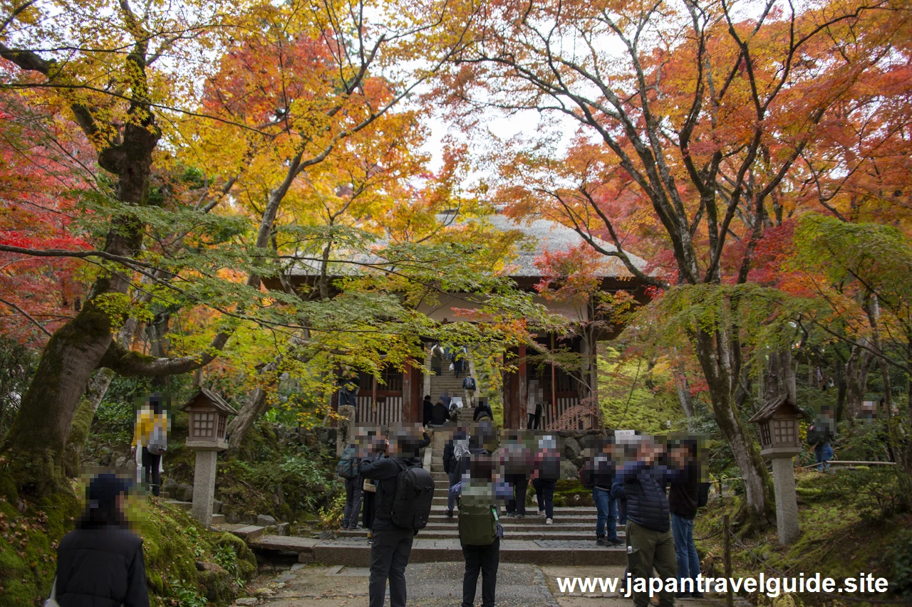 山門から仁王門までの紅葉の様子です。：常寂光寺の紅葉の見どころ(5)