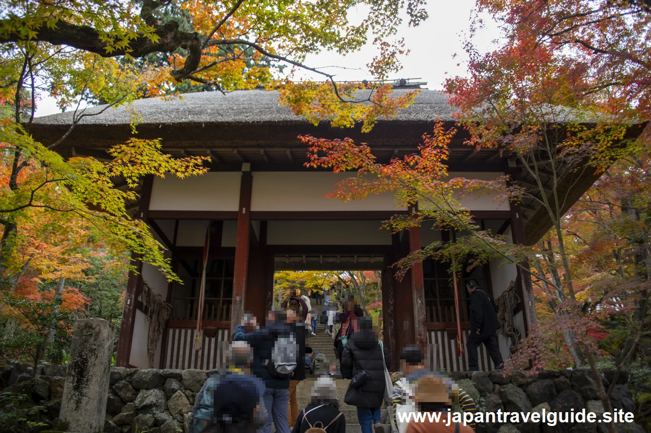 山門から仁王門までの紅葉の様子です。：常寂光寺の紅葉の見どころ(6)