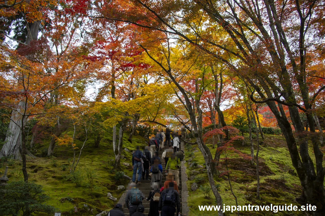 本堂までの石段の紅葉：常寂光寺の紅葉の見どころ(1)