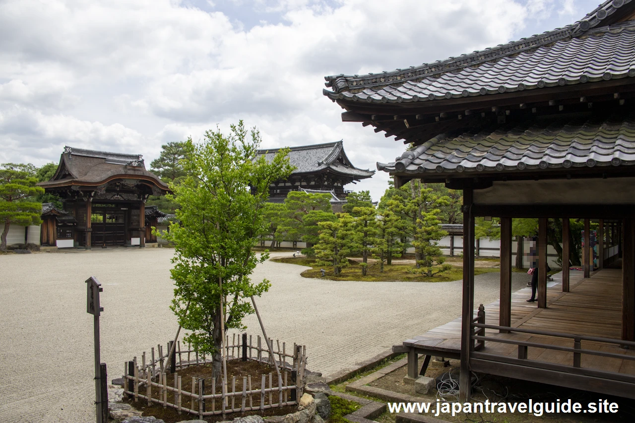 御所庭園：仁和寺の見どころ(10)