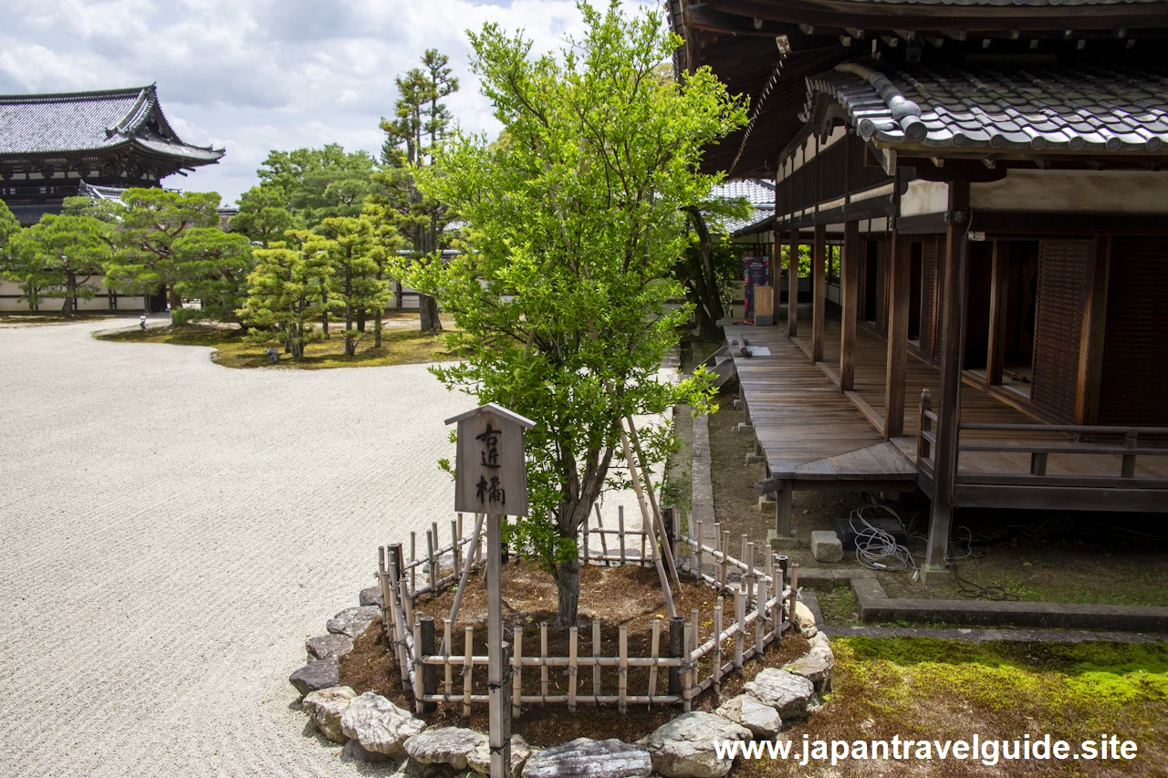 御所庭園：仁和寺の見どころ(11)