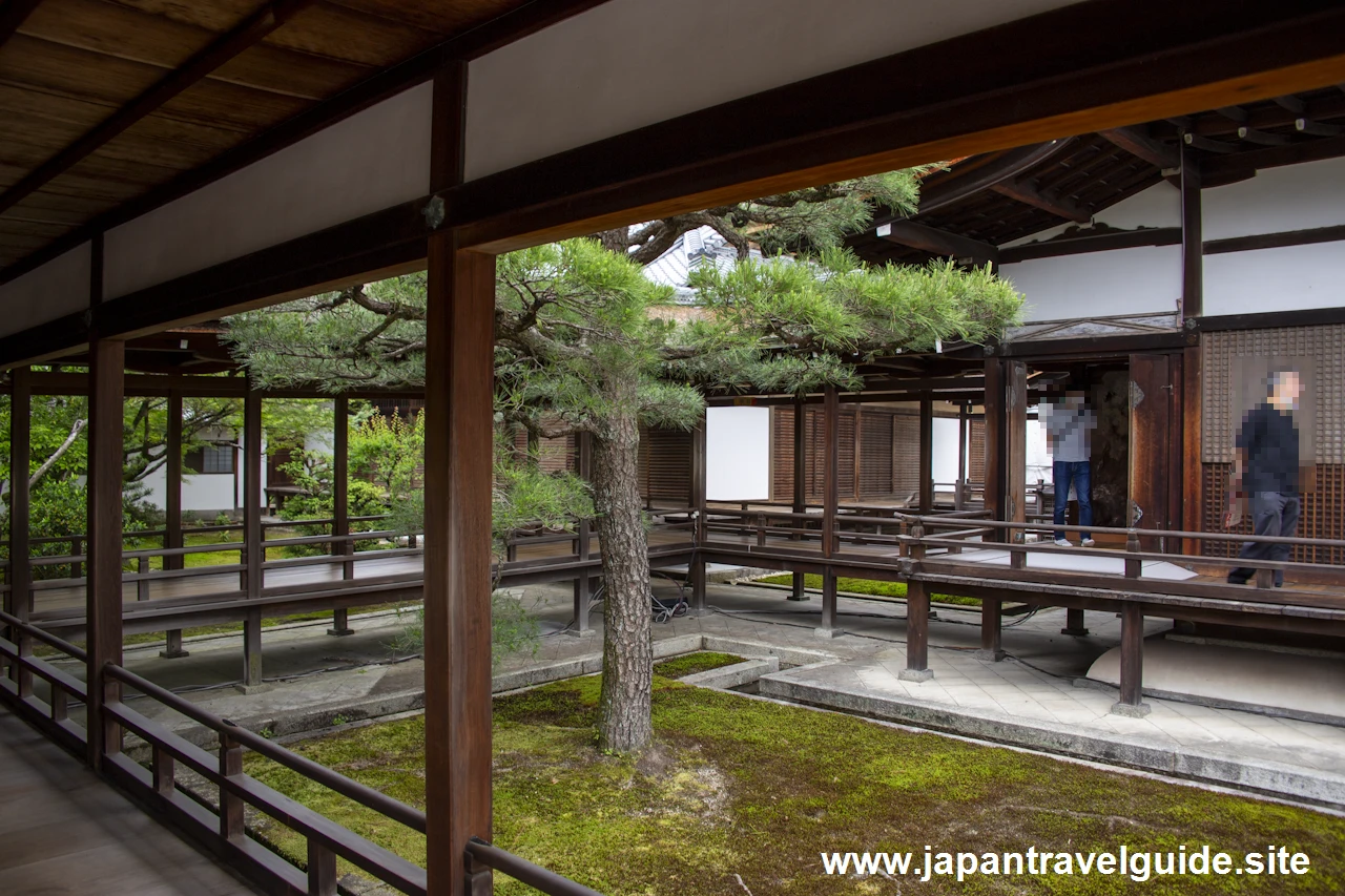 御所庭園：仁和寺の見どころ(12)