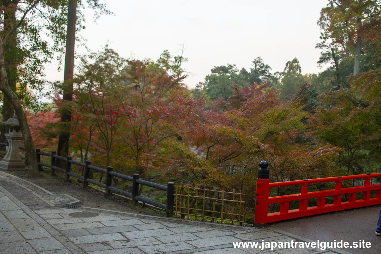 啼鳥菴あたりの紅葉：伏見稲荷大社の紅葉の見どころ完全ガイド(3)