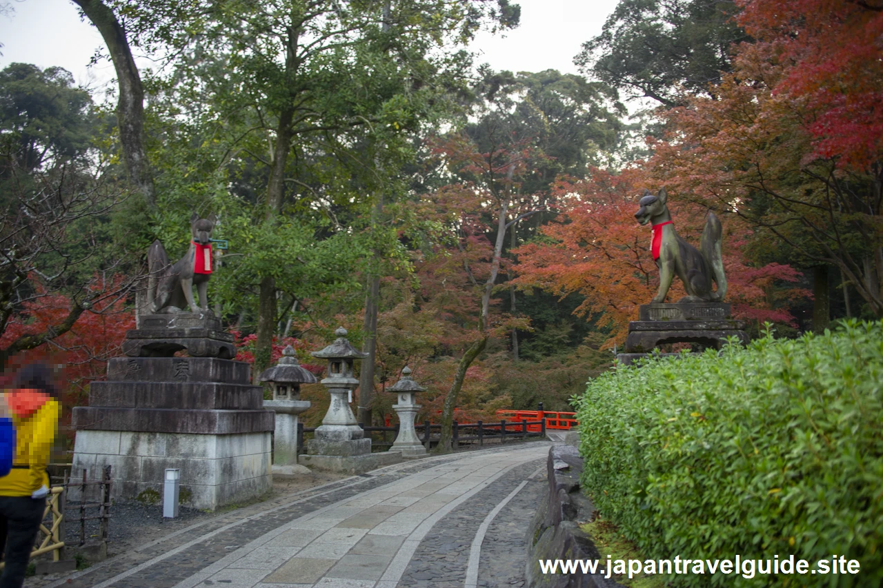 啼鳥菴あたりの紅葉：伏見稲荷大社の紅葉の見どころ完全ガイド(4)