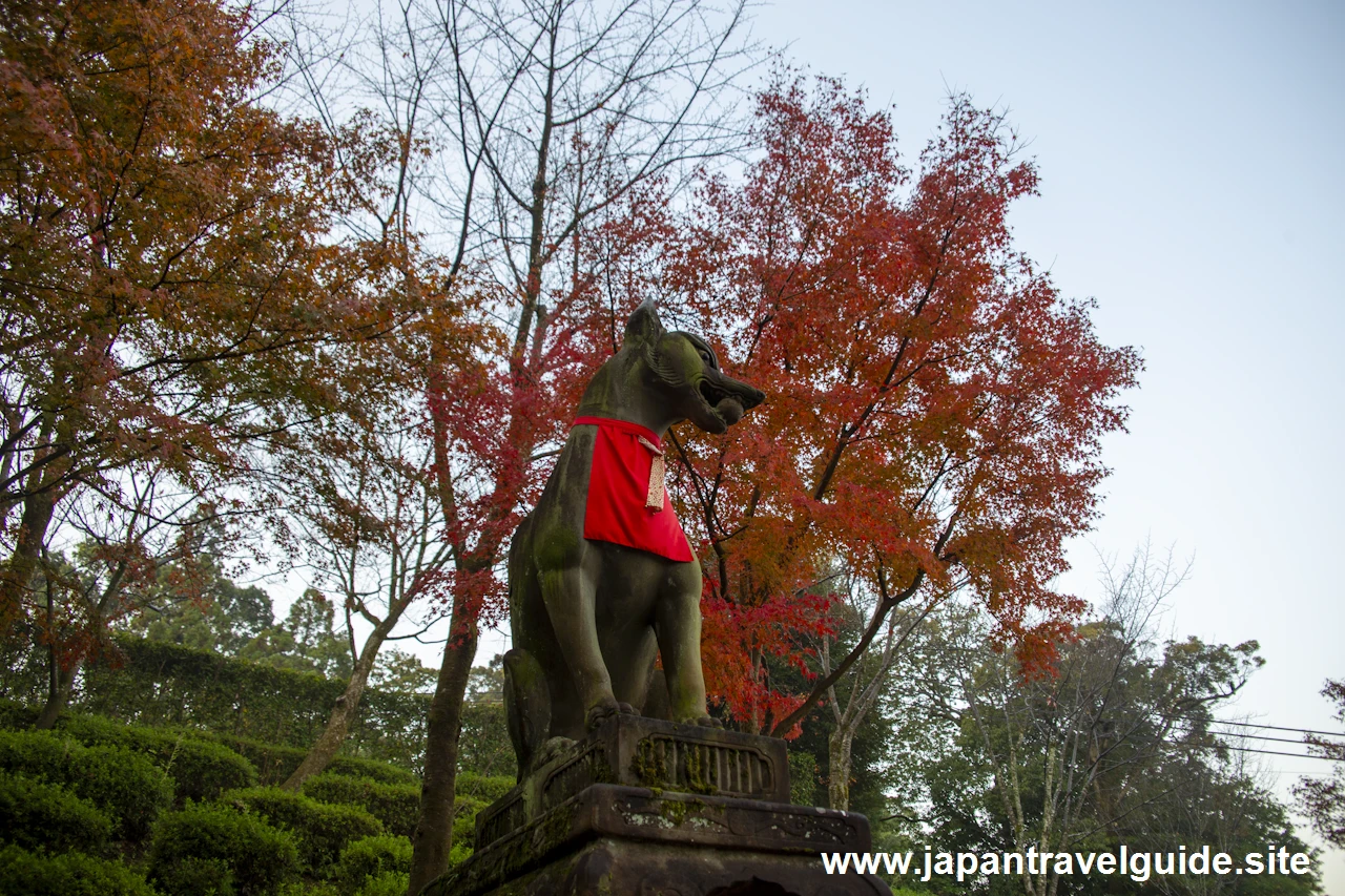 啼鳥菴あたりの紅葉：伏見稲荷大社の紅葉の見どころ完全ガイド(6)