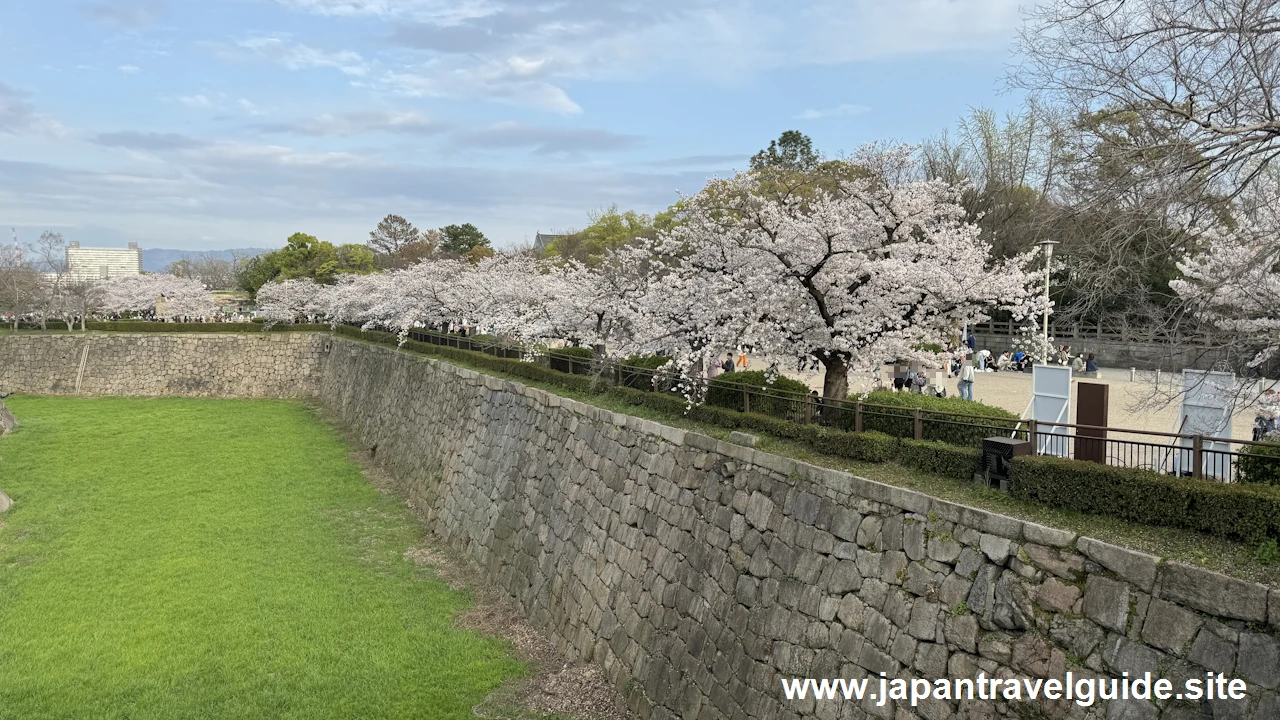 桜門から天守閣までの桜(2)