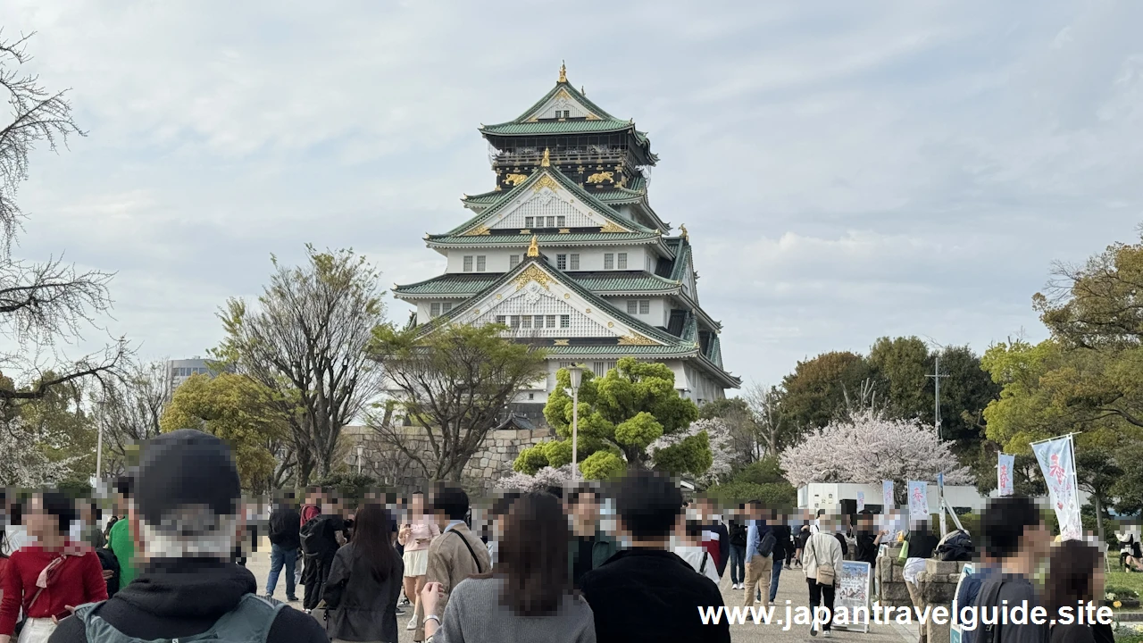 桜門から天守閣までの桜(3)