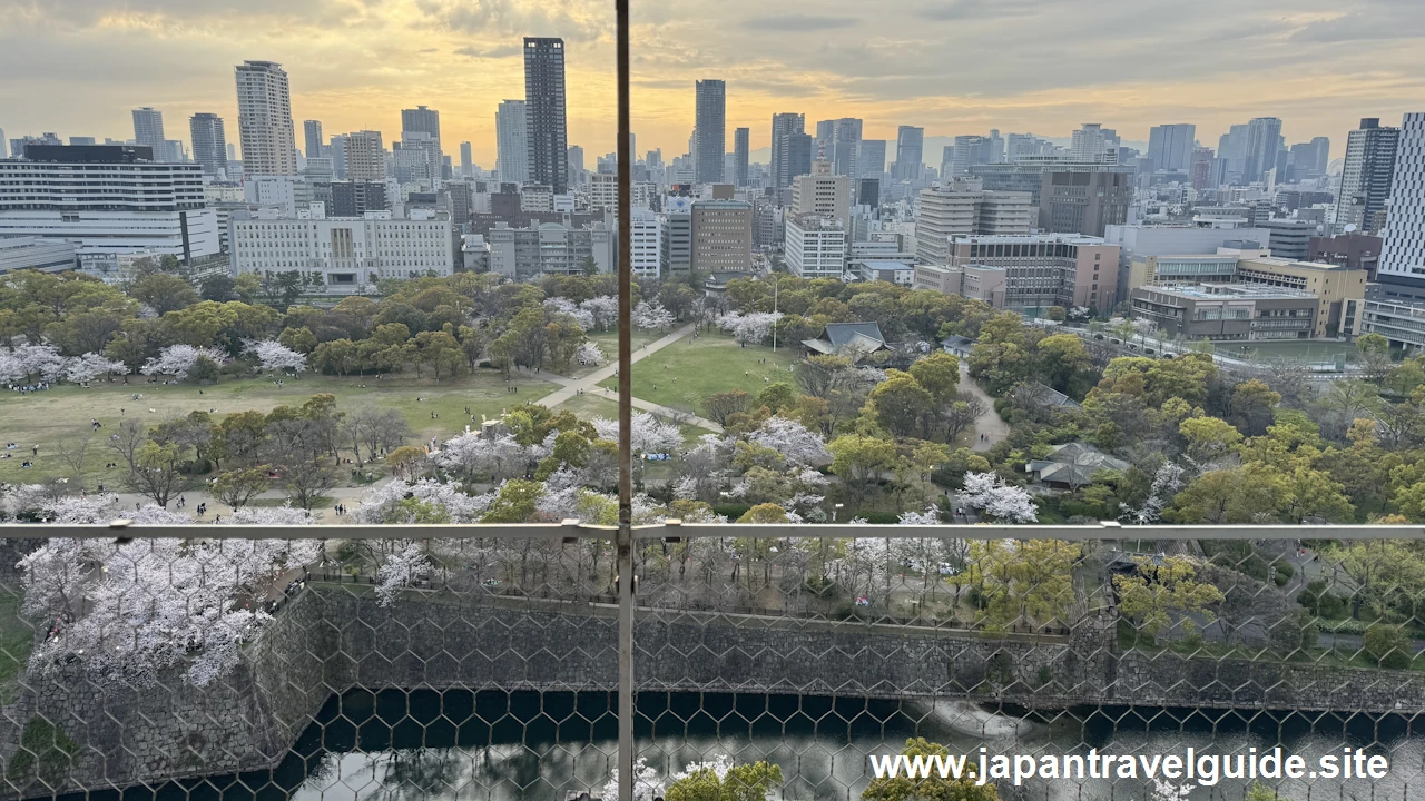 天守閣からの桜の眺め(1)