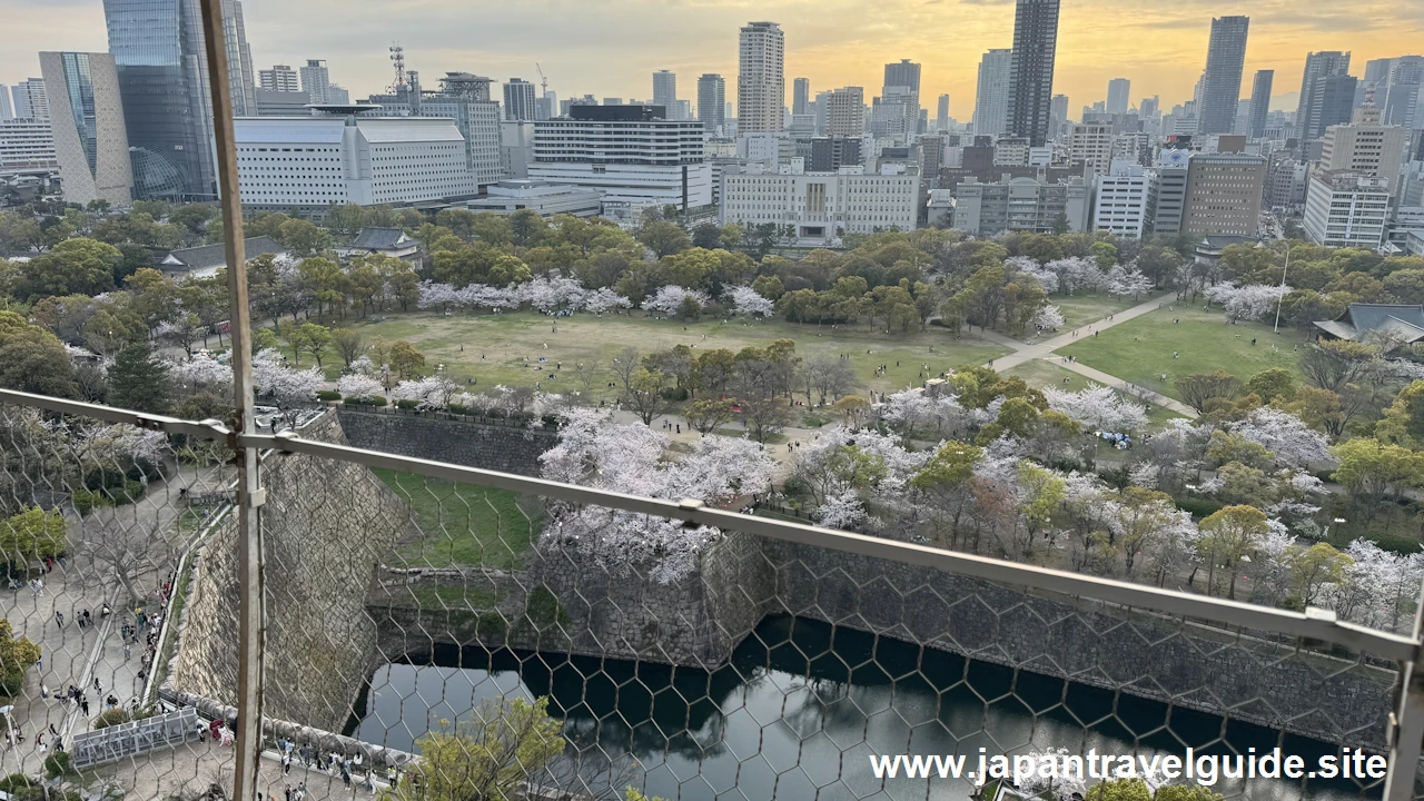 天守閣からの桜の眺め(2)