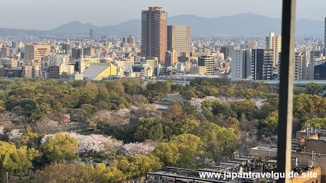 天守閣からの桜の眺め(6)