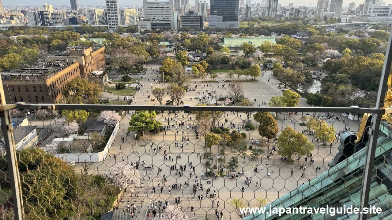 天守閣からの桜の眺め(7)