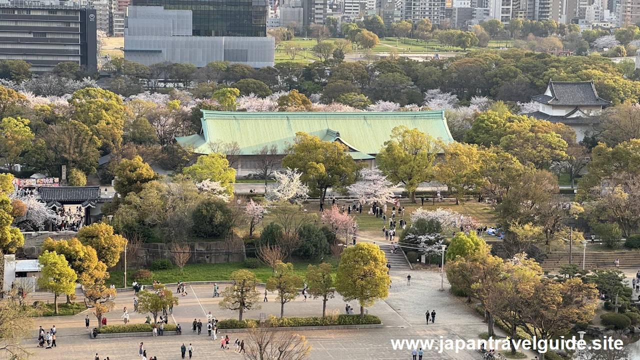 天守閣からの桜の眺め(8)