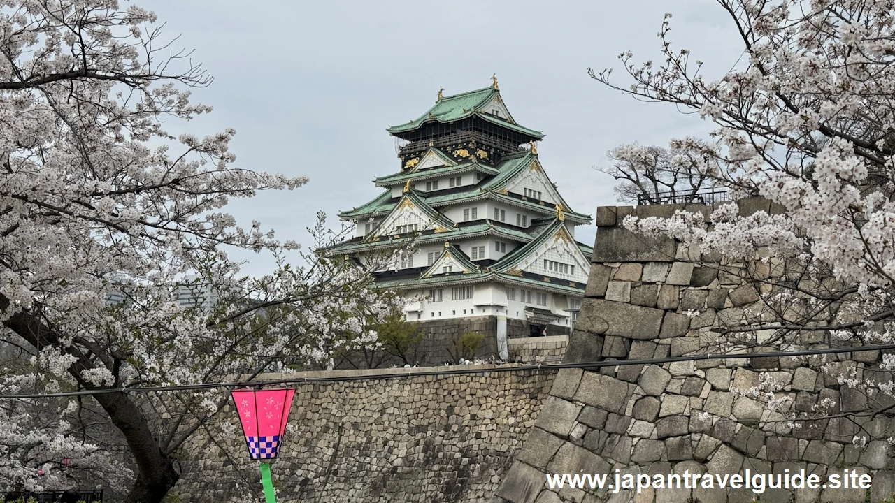 西の丸庭園の桜(7)