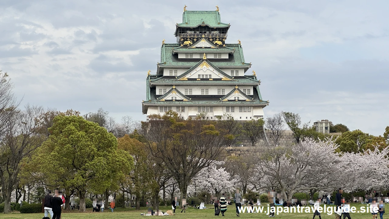 西の丸庭園の桜(15)