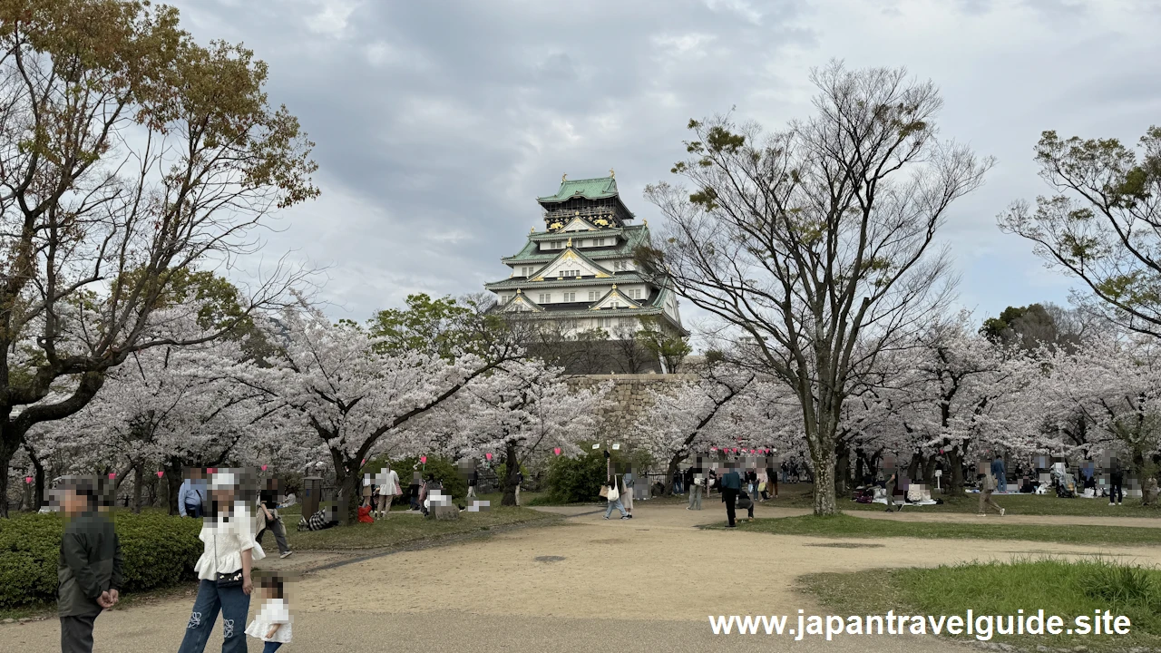 西の丸庭園の桜(16)