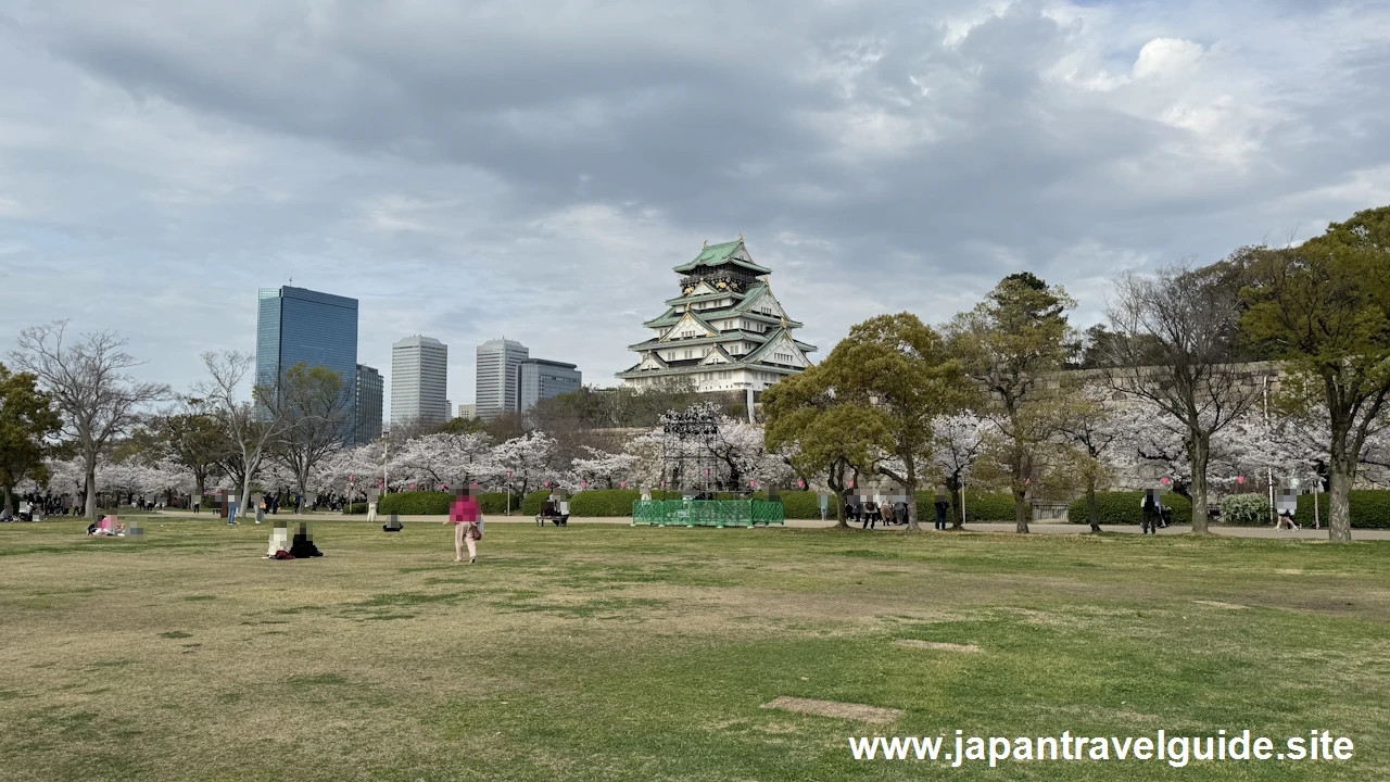 西の丸庭園の桜(17)