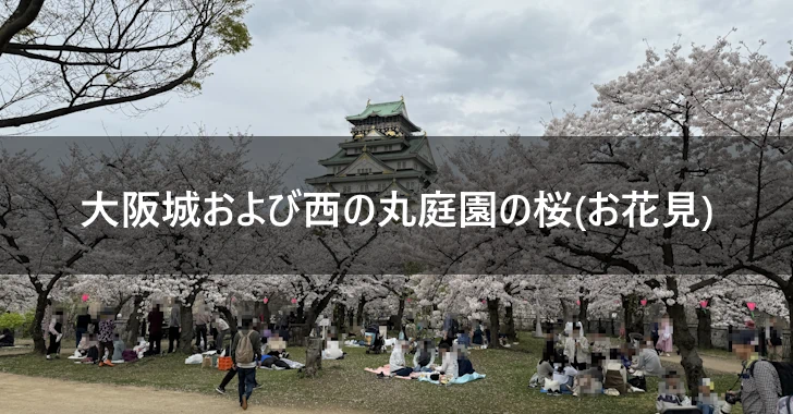 大阪城および西の丸庭園の桜(お花見)(0)