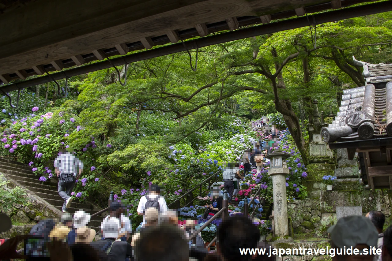 嵐の坂：奈良長谷寺の見どころ(1)