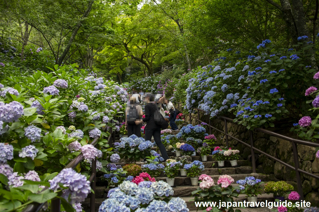 嵐の坂：奈良長谷寺の見どころ(4)