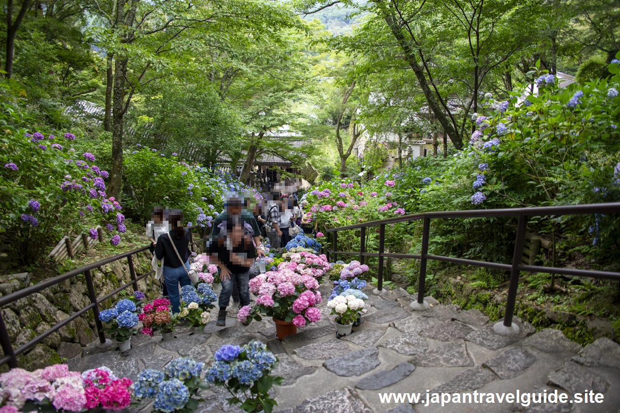 嵐の坂：奈良長谷寺の見どころ(5)