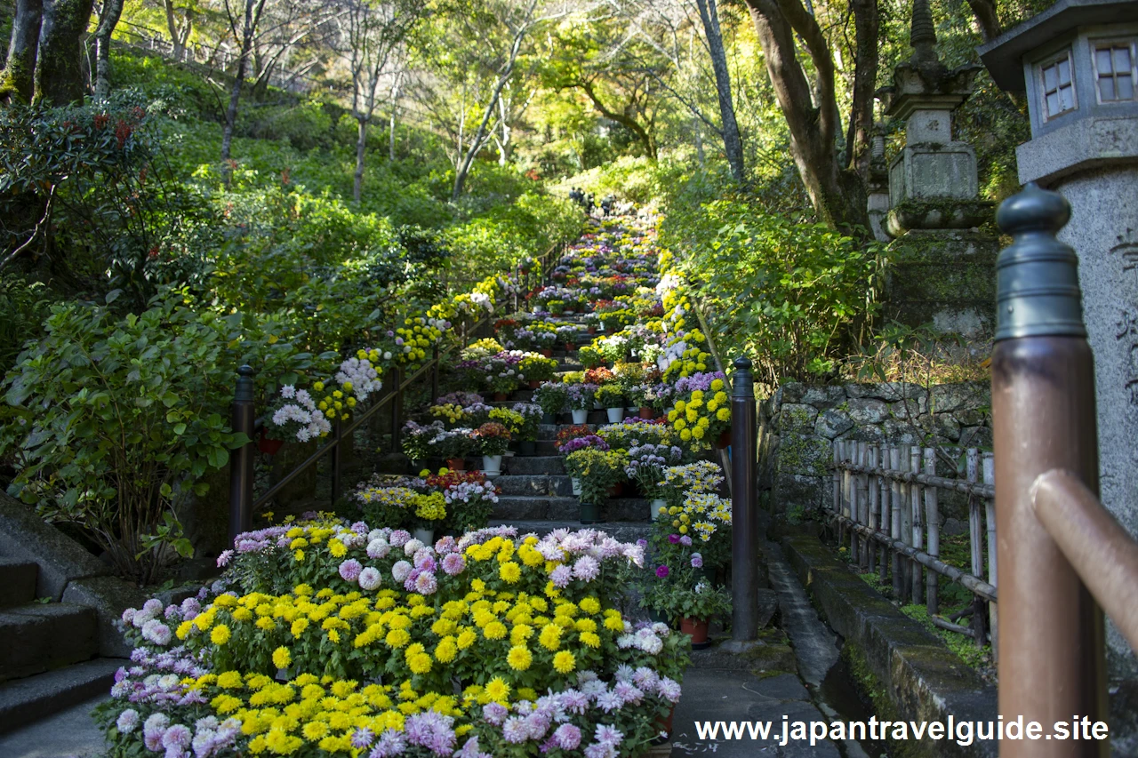 嵐の坂：奈良長谷寺の見どころ(6)