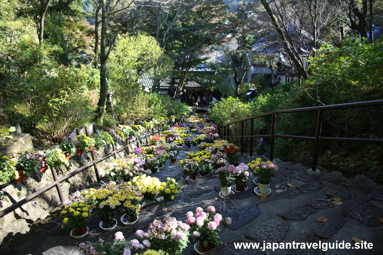 嵐の坂：奈良長谷寺の見どころ(8)