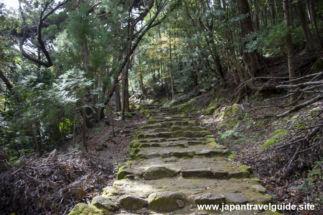 神倉神社とゴトビキ岩の参拝方法：神倉神社とゴトビキ岩の見どころ完全ガイド(8)