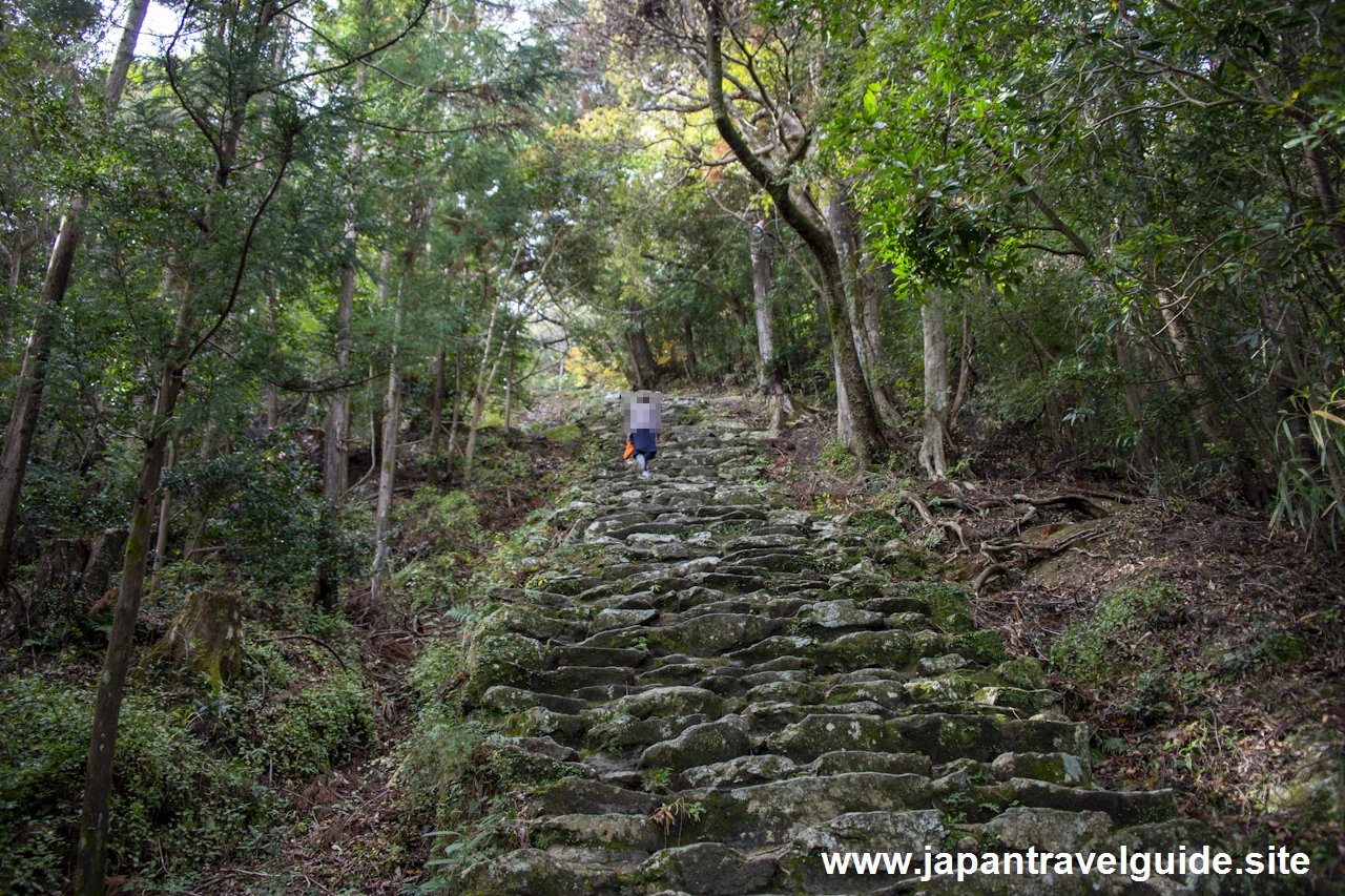 神倉神社とゴトビキ岩の参拝方法：神倉神社とゴトビキ岩の見どころ完全ガイド(6)