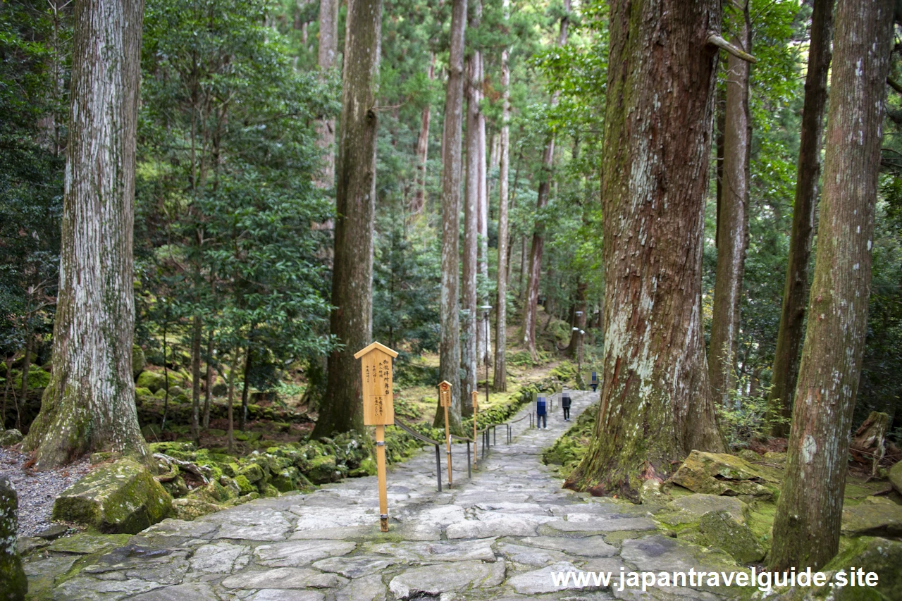 飛瀧神社の参拝方法：飛瀧神社と那智の滝の見どころ完全ガイド(4)