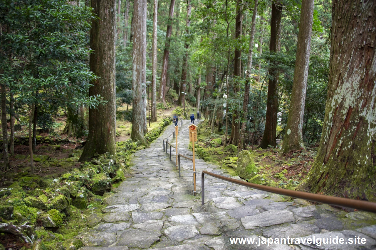 飛瀧神社の参拝方法：飛瀧神社と那智の滝の見どころ完全ガイド(5)