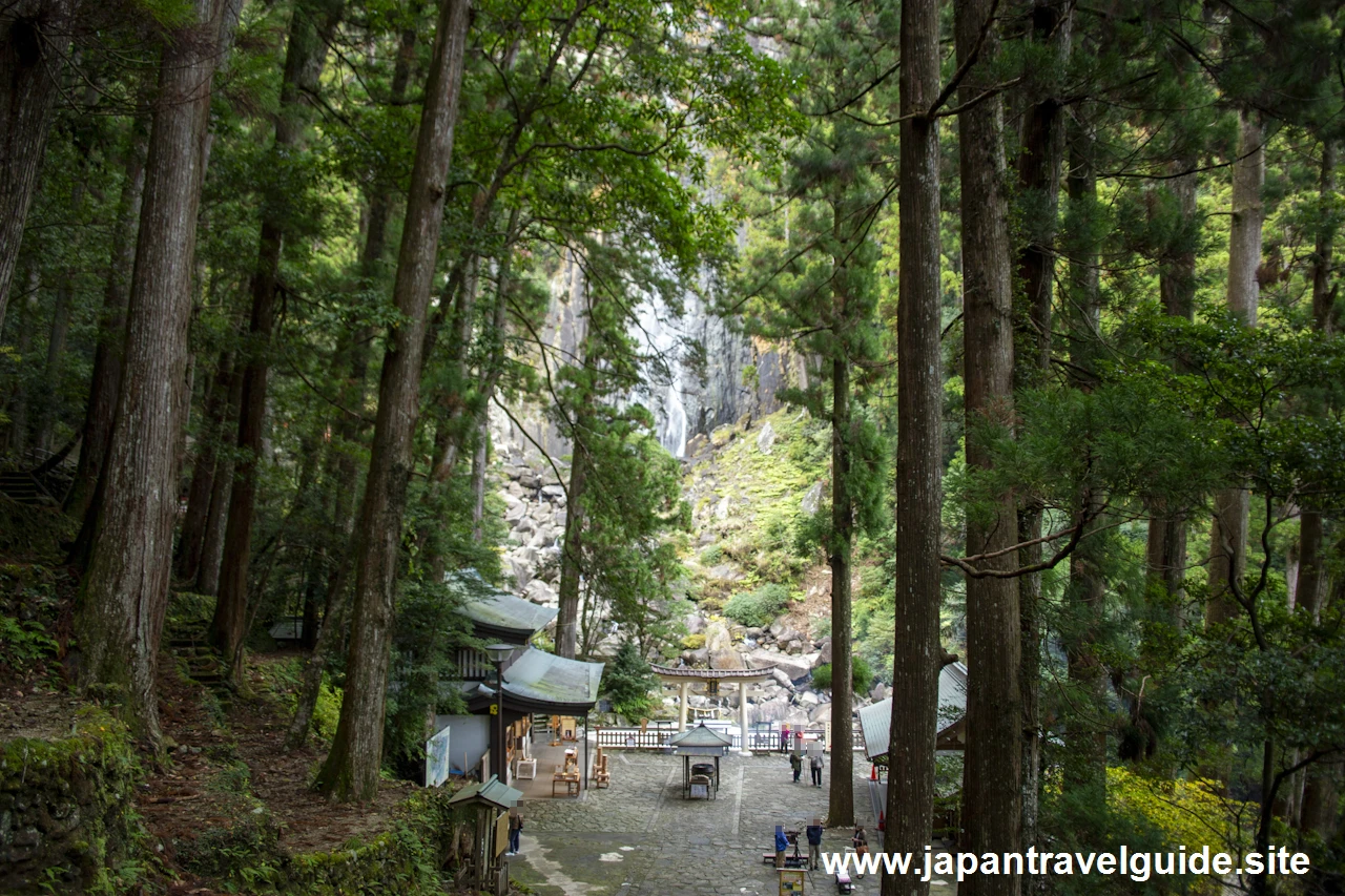 飛瀧神社の参拝方法：飛瀧神社と那智の滝の見どころ完全ガイド(7)