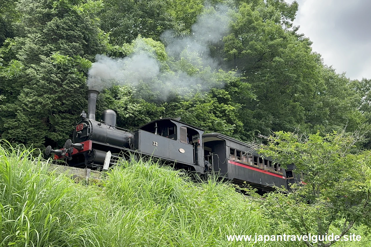 蒸気機関車12号/9号および三等客車：明治村4丁目エリアの見どころ(6)